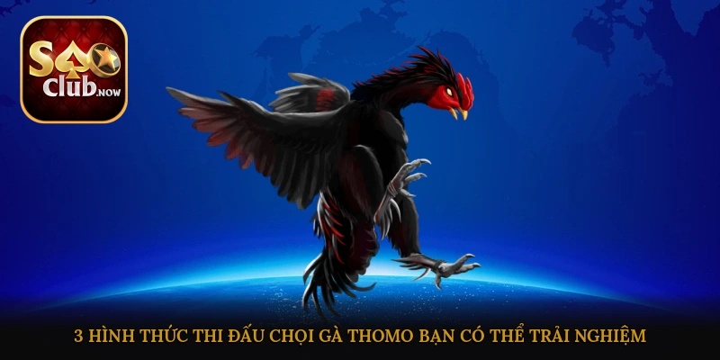 3 hình thức thi đấu chọi gà Thomo bạn có thể trải nghiệm