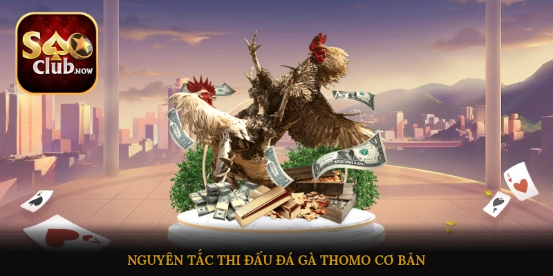 Nguyên tắc thi đấu đá gà Thomo cơ bản